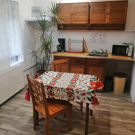 Moss's Economy Apartment Timisoara